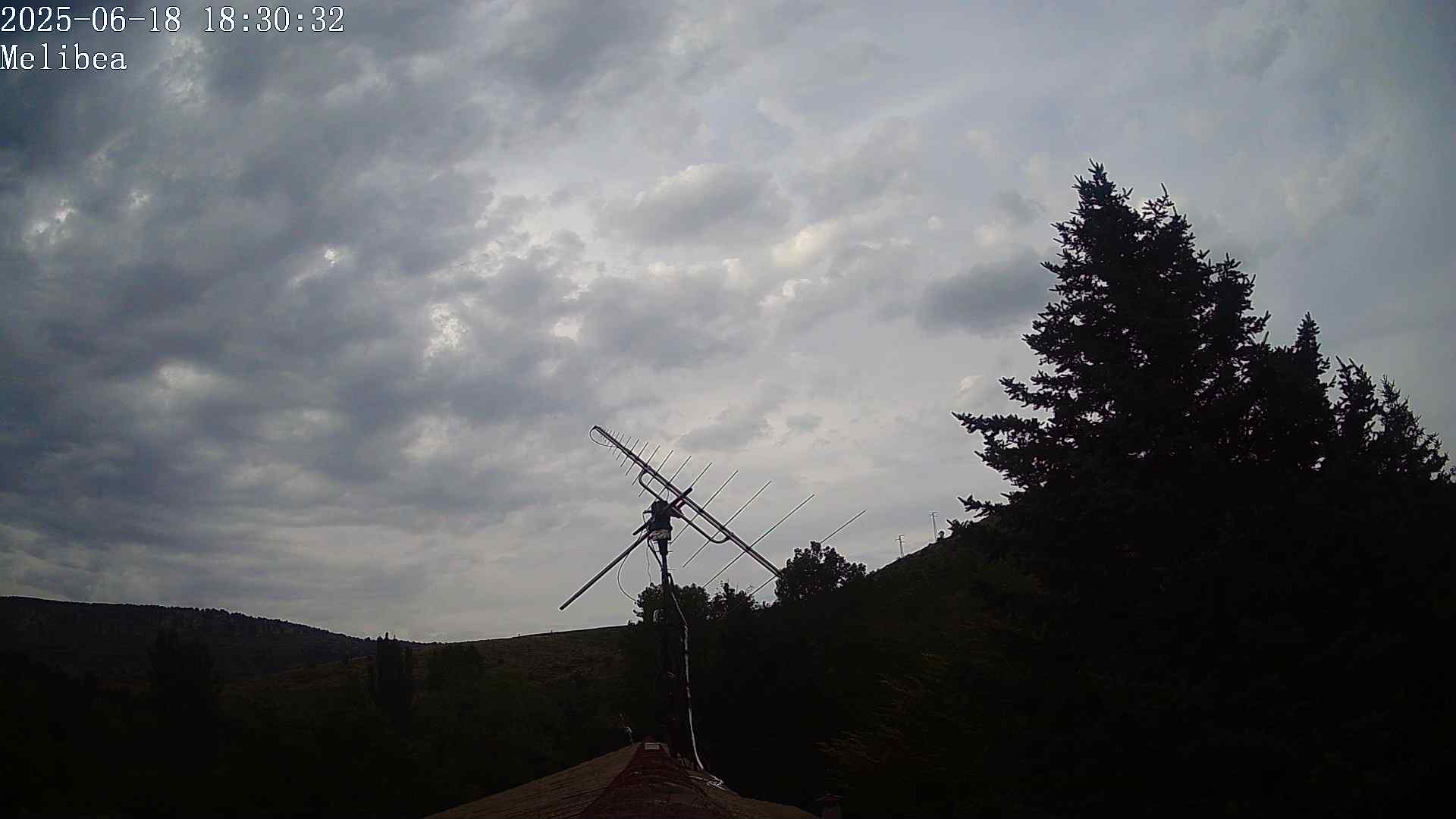 Melibea_20250618-183033.jpg