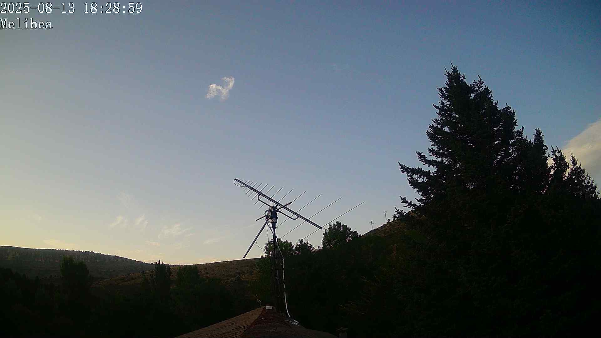 Melibea_20250813-182900.jpg